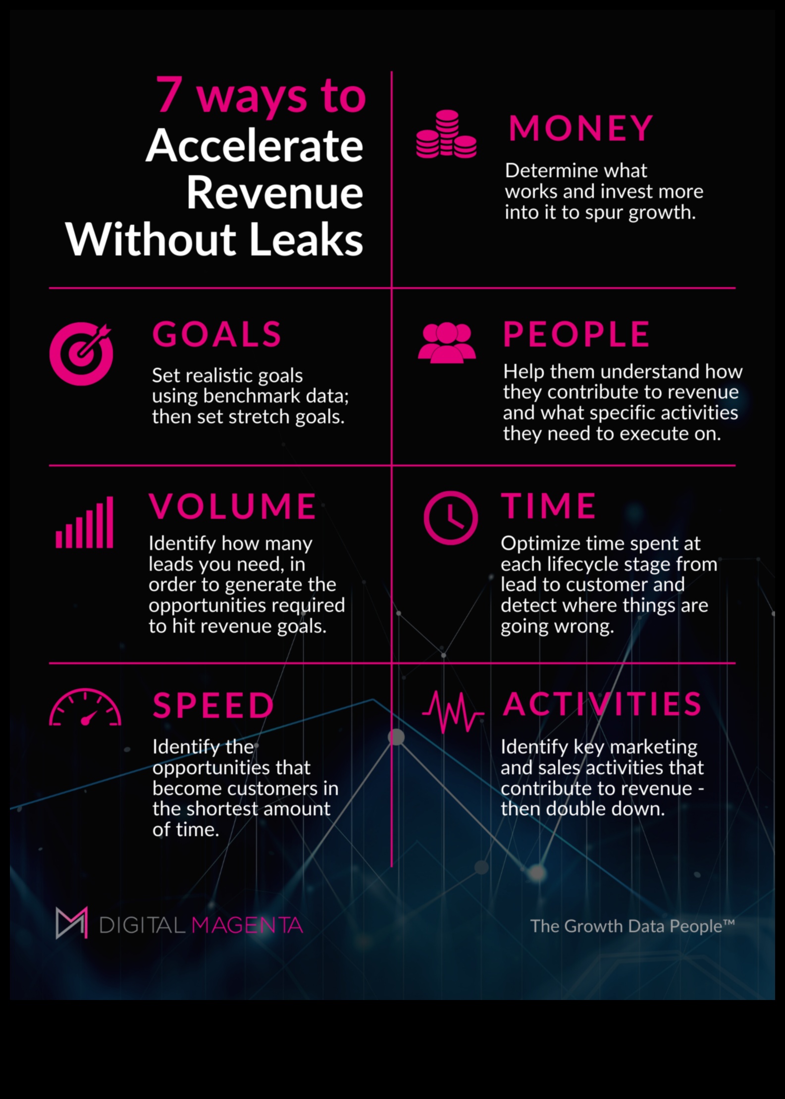 Venture Velocity: Strategies for Rapid Business Growth